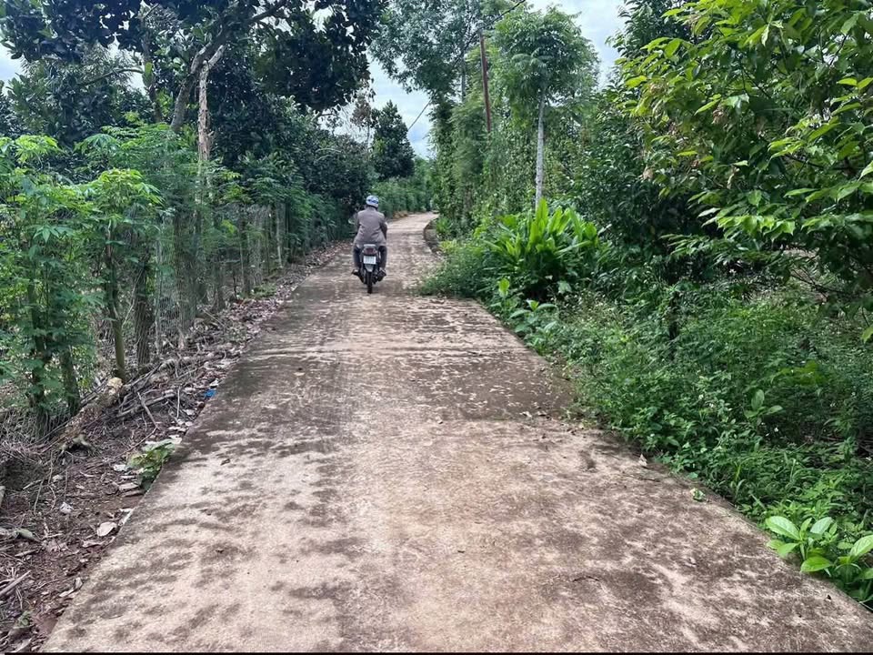 Đất Nền Sổ Riêng 250m² Tân Phú, Đồng Nai - Chỉ 350 Triệu