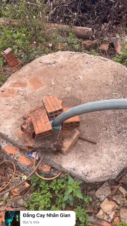 Bán Gấp Farm 22.000m² Gia Lai - 150 Cây Sầu Riêng Riêng Thu Bói