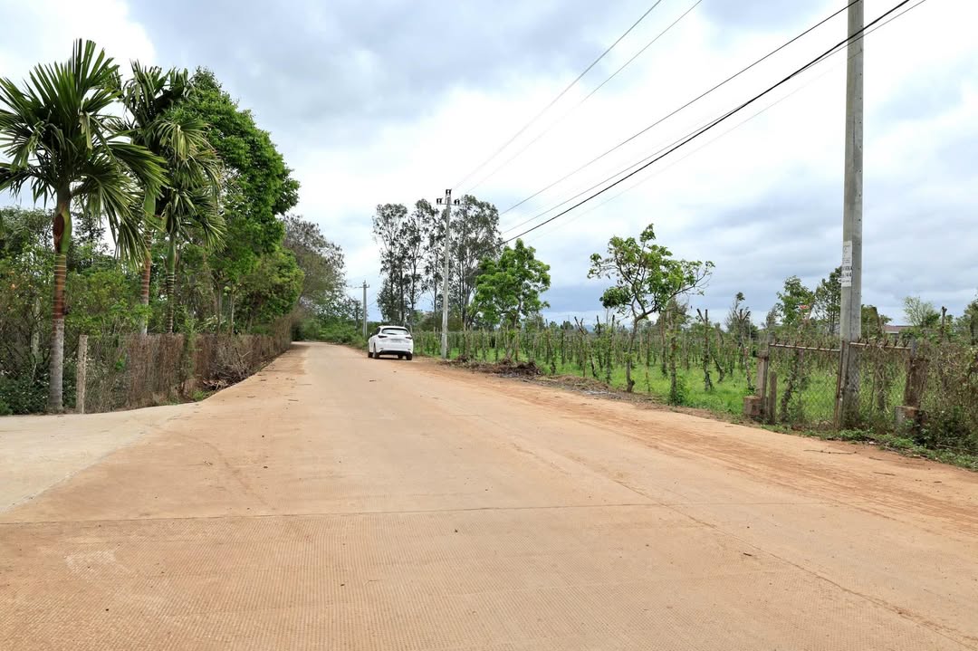 Đất nền Eakmut, Đắk Lắk - 250m² giá chỉ 375 triệu, sổ sẵn