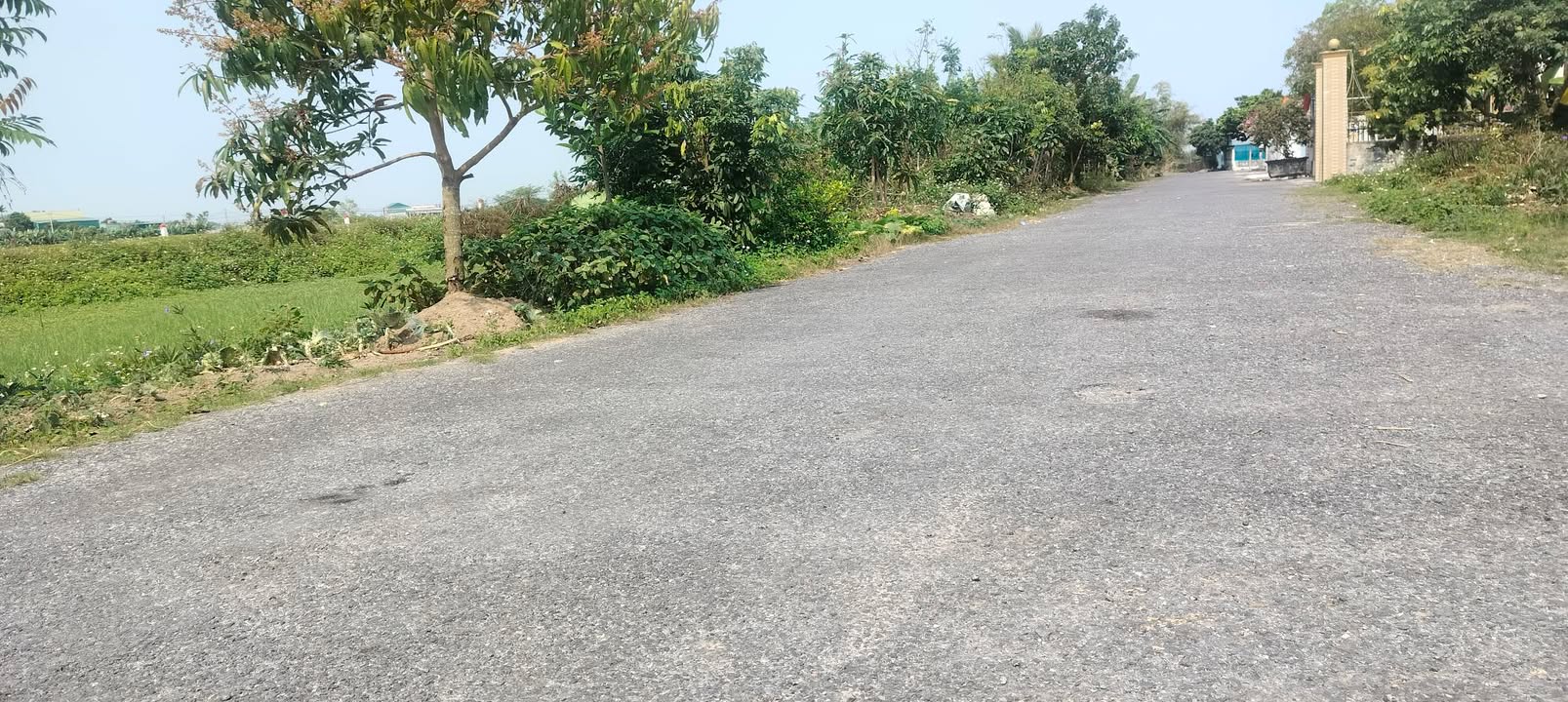 Bán đất mặt đường Tỉnh Lộ Thái Giang, Thái Thụy - 135m², Sổ đỏ, Giá 1.6 tỷ