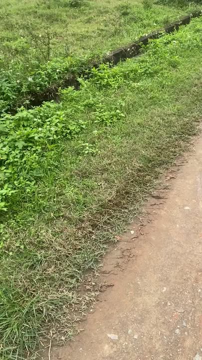 Đất Nền 168m² Gần UBND Xã Kỳ Phong, Hà Tĩnh - Sổ Đỏ Sẵn Sàng