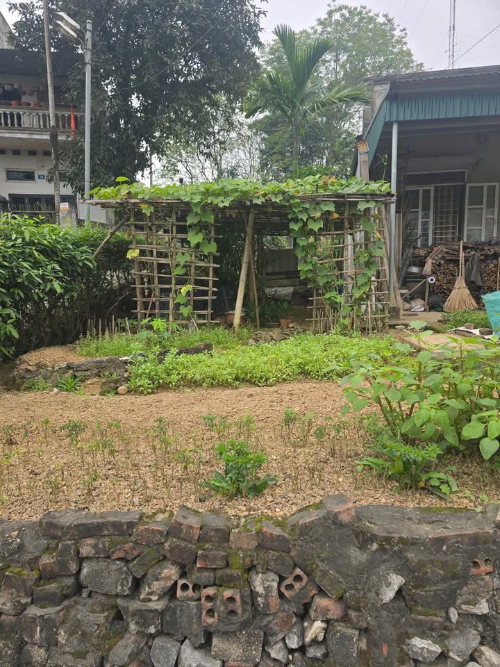 Bán Đất Phường Đội Cấn, Tuyên Quang 130m² - Sổ Hồng Sẵn Sàng