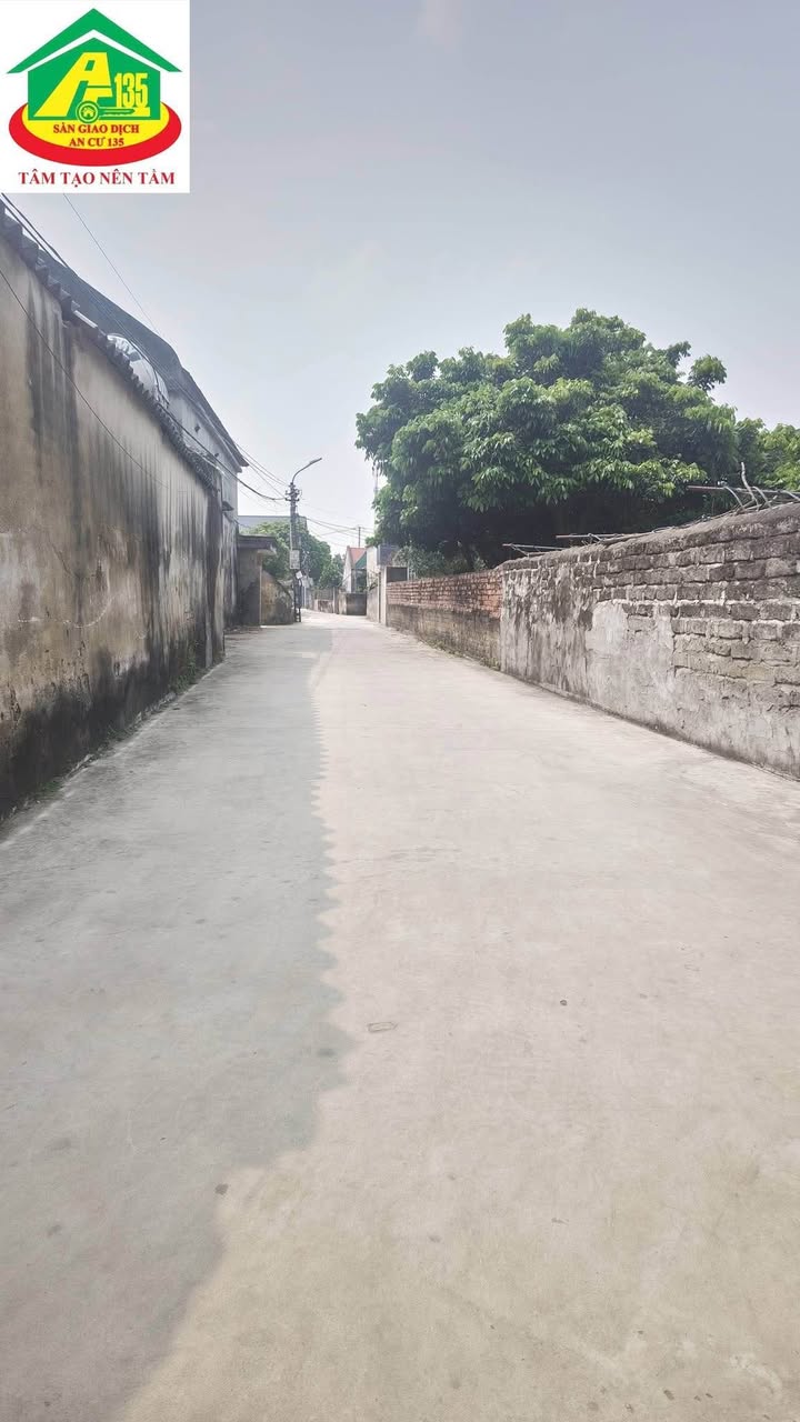 Bán Đất 87m² Ngõ 47 Trần Khát Trân, Hoa Lư - Sổ Đỏ Sẵn Sàng