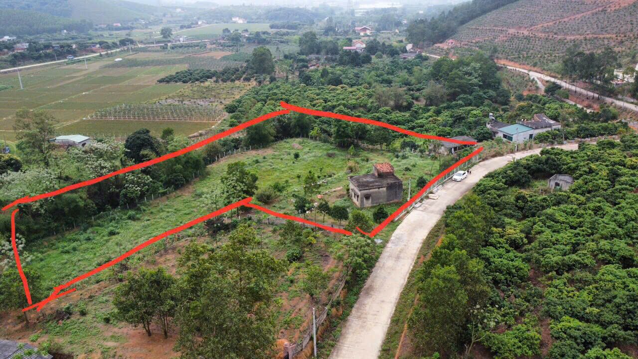 Bán Đất Vườn Chí Linh 2170m² - Hơn 2 Tỷ - Nghỉ Dưỡng Lý Tưởng