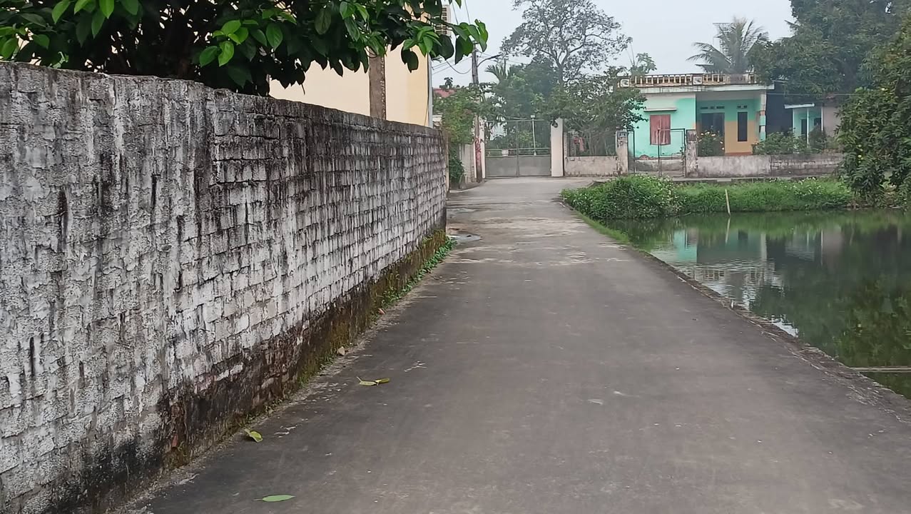 Đất nền Quảng Ngọc 160m² - Hai Mặt Tiền Đường Ô Tô Tránh Nhau