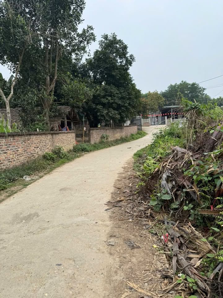 Bán đất An Tường Tuyên Quang 209m² full thổ cư - Sẵn sổ hồng