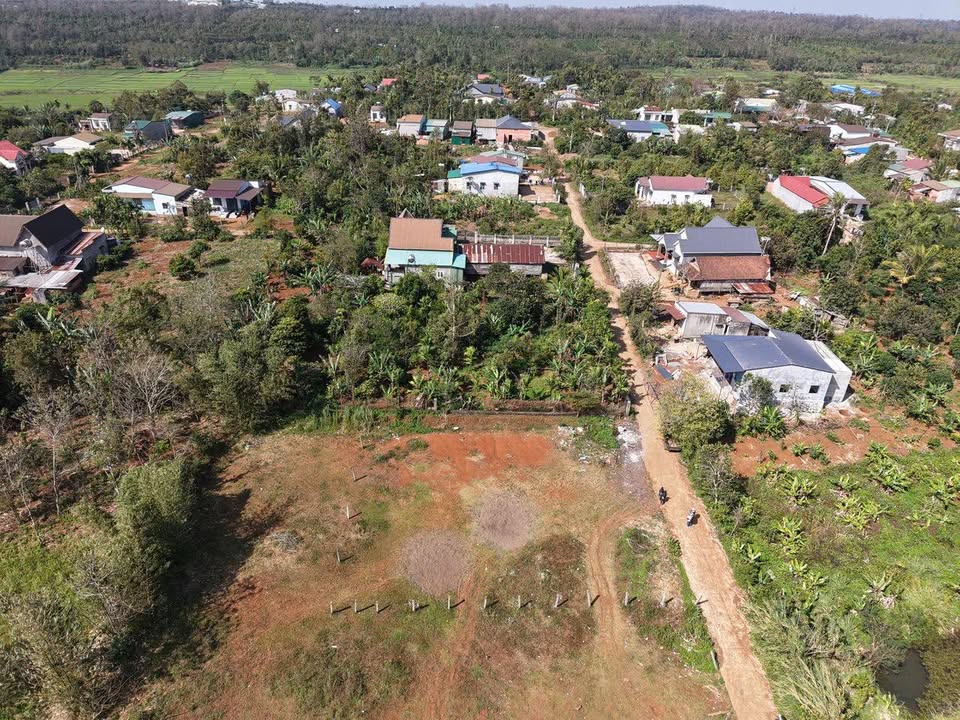 Bán Đất Nền 780m² Buôn Ma Thuột - View Ruộng, Gần QL26, Sổ Hồng Riêng