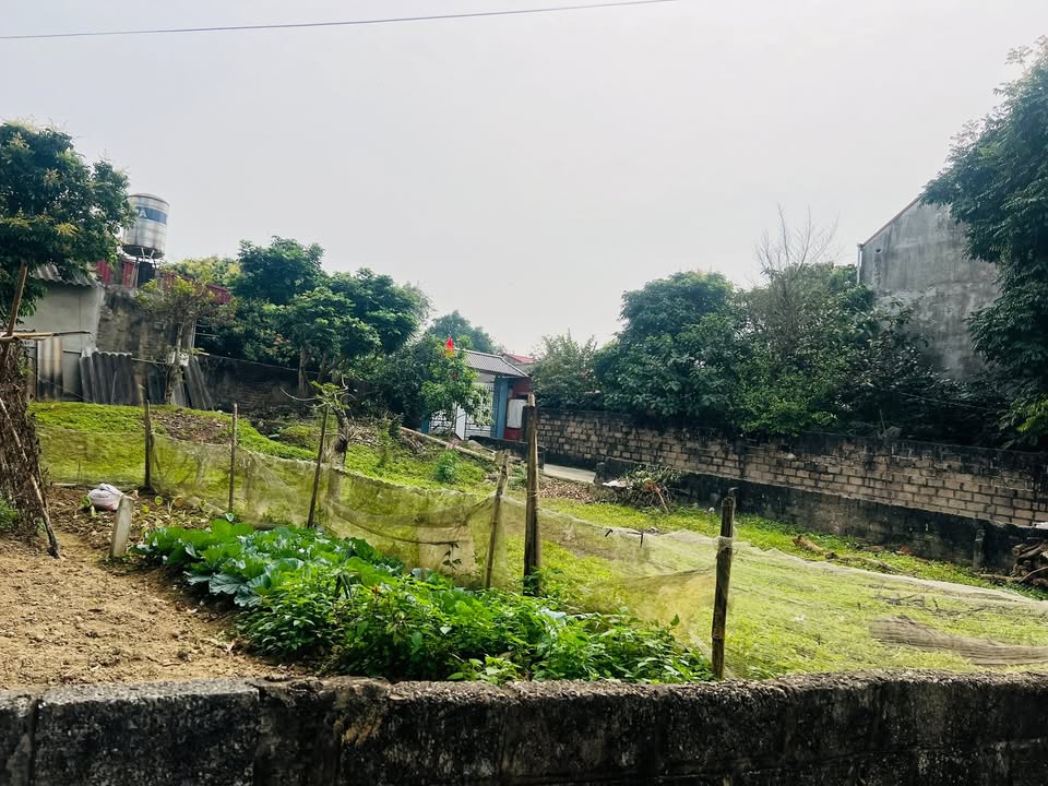 Bán đất đồi Thái Nguyên 114m² - Sổ đỏ chính chủ, gần UBND Linh Sơn