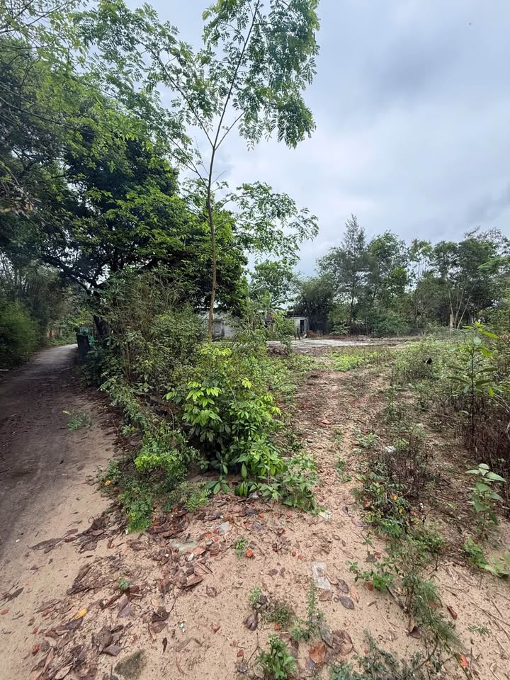 Đất Nền 120m² Sát Biển Bình Minh - Cơ Hội Đầu Tư Vàng