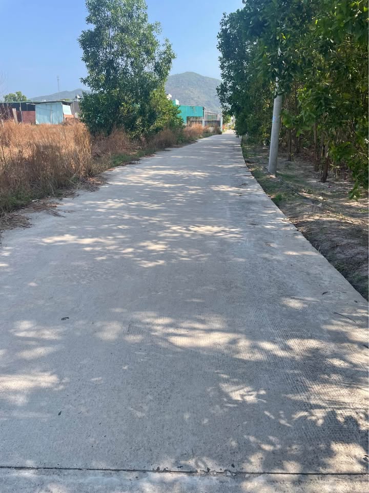 Bán Đất Châu Đức 1200m² - Sổ TC, Gần Chợ Việt Kiều 950 Triệu