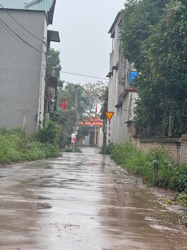 Đất nền Việt Yên, Bắc Giang 110m² - Mặt đường TL295, 3 ô tô tránh