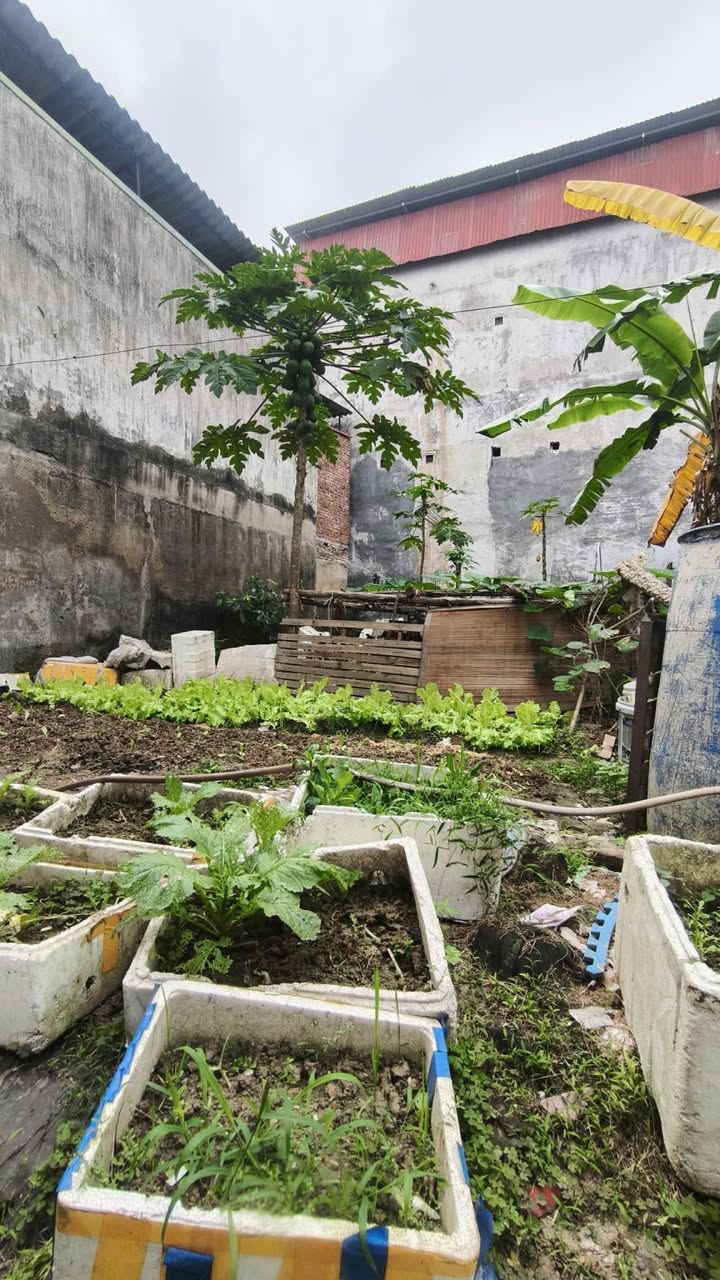 Đất Yên Phong 80m² Nở Hậu - Đường Ô Tô - Giá Đầu Tư