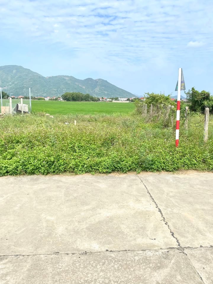 Bán Gấp Đất Diên Sơn 115m² - Sổ Hồng Thổ Cư, Giá Tốt