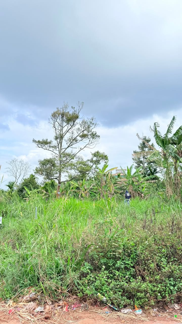 Đất thổ cư 60m² KOMLEO, Buôn Ma Thuột - Giá 990 triệu, cách trục chính 50m