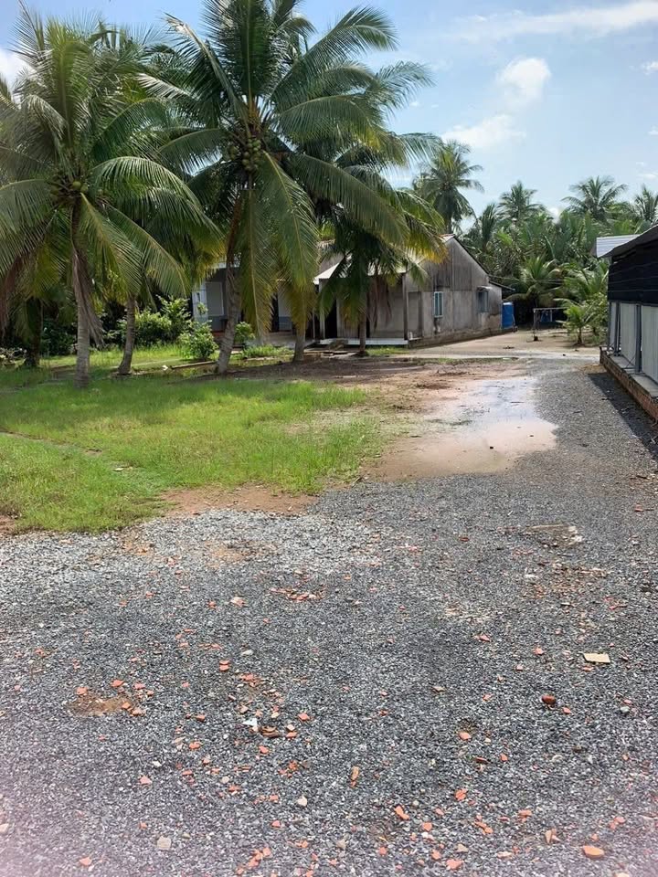 Bán Đất Mặt Tiền QL60 Bến Tre 1100m² - Kinh Doanh Đắc Lợi