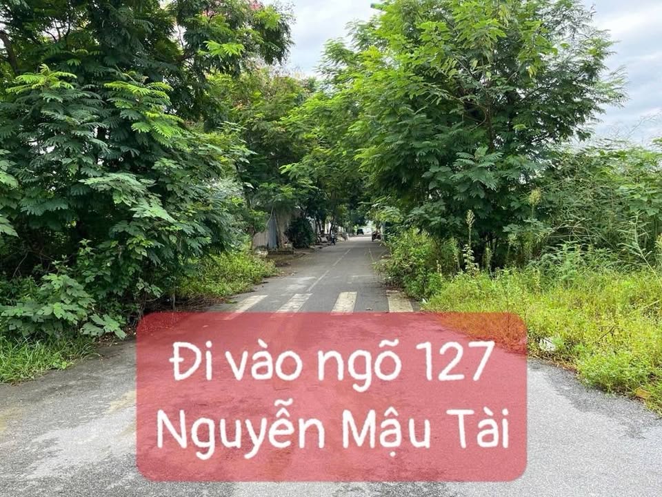 Đất Tái Định Cư Trâu Quỳ 32m² - Giá 7 Tỷ, Sổ Đỏ Sẵn Sàng