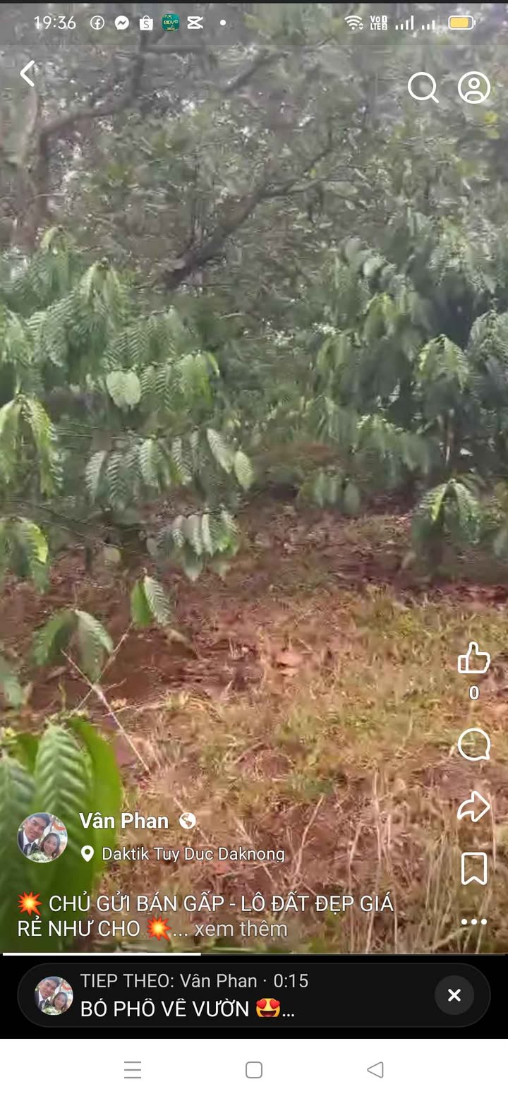 Đất Vườn Đắk Nông 1600m² - Sổ Sẵn, Giá 250 Triệu, Làm Vườn Nghỉ Dưỡng