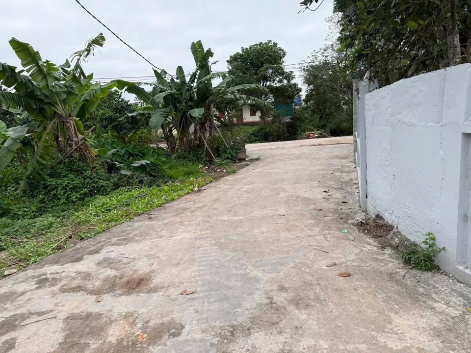 Đất nền 74m² Vũ Thư, Thái Bình - Sẵn Sàng Xây Dựng, Giá Tốt