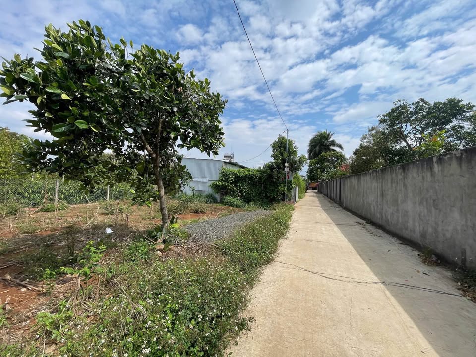 Bán Đất Vị Trí Vàng Đối Diện Trường Lê Lai, BMT - 108m² Sổ Đỏ