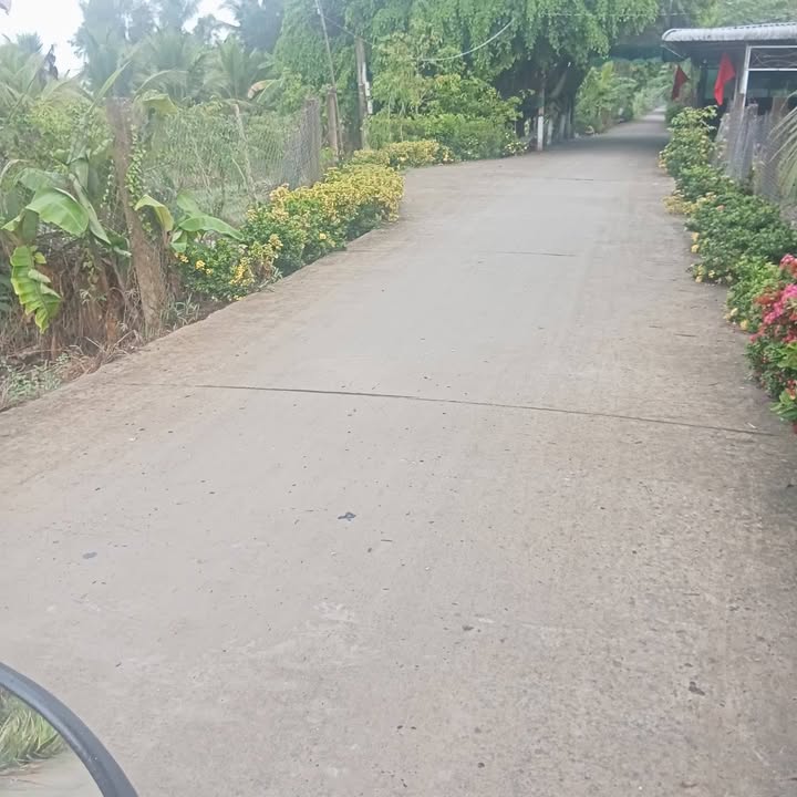 Đất nền 600m² Mỹ Tú Sóc Trăng giá 550 triệu - Cơ hội đầu tư sinh lời!