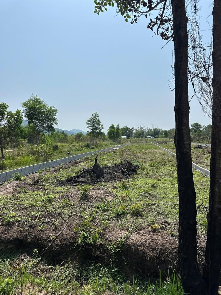 Đất Vườn Phú Quốc 1000m² - Giá Tốt Đầu Tư Sinh Lời