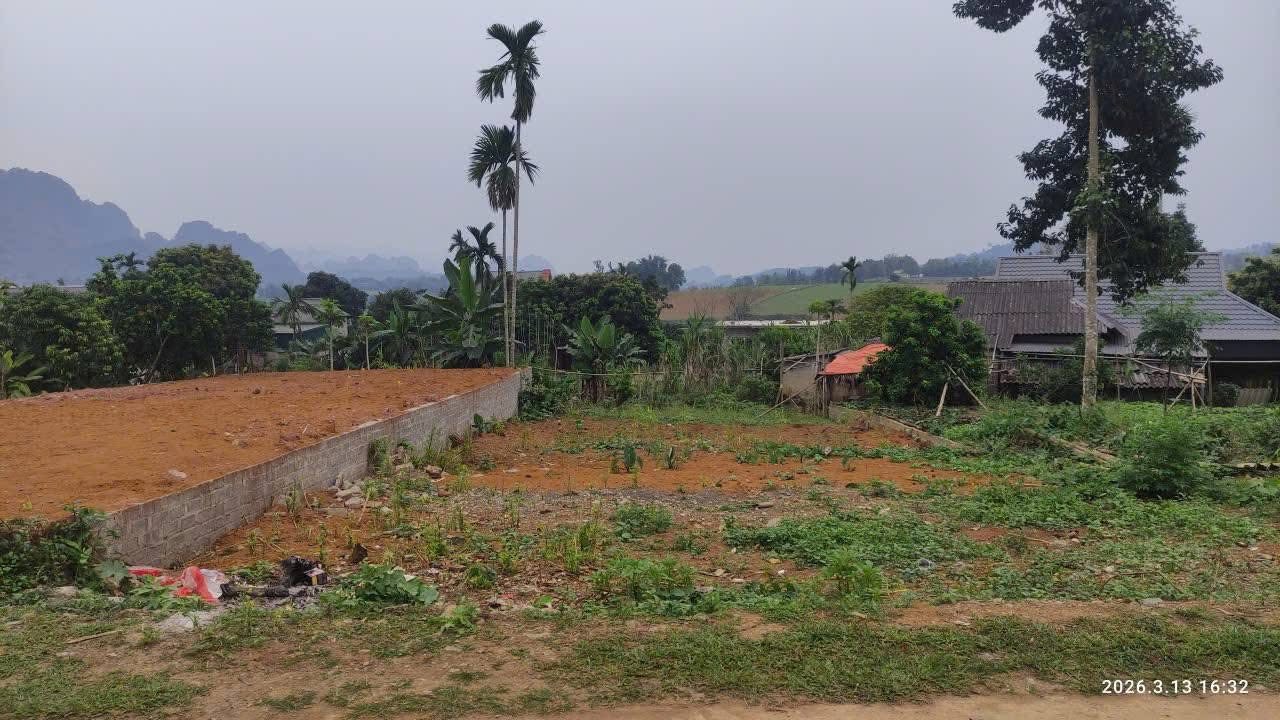 Đất Nền 300m² Tân Lạc, Hòa Bình - Mặt Tiền 10m, Sẵn Sổ Đỏ Thổ Cư