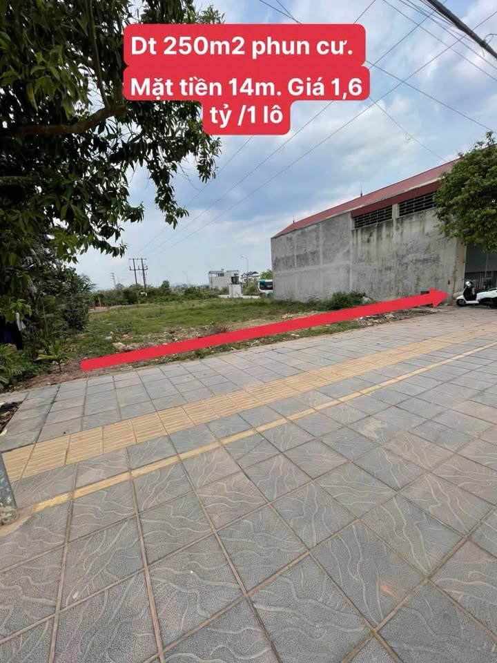 Đất nền 250m² khu đô thị lấn biển Thái Bình - Sổ đỏ sẵn sàng giao dịch