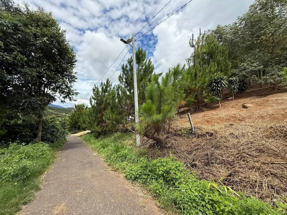 Đất nền Lộc Thành, Bảo Lâm - 2 Lô Liền Kề 530m² - Sổ Hồng Sẵn Sàng