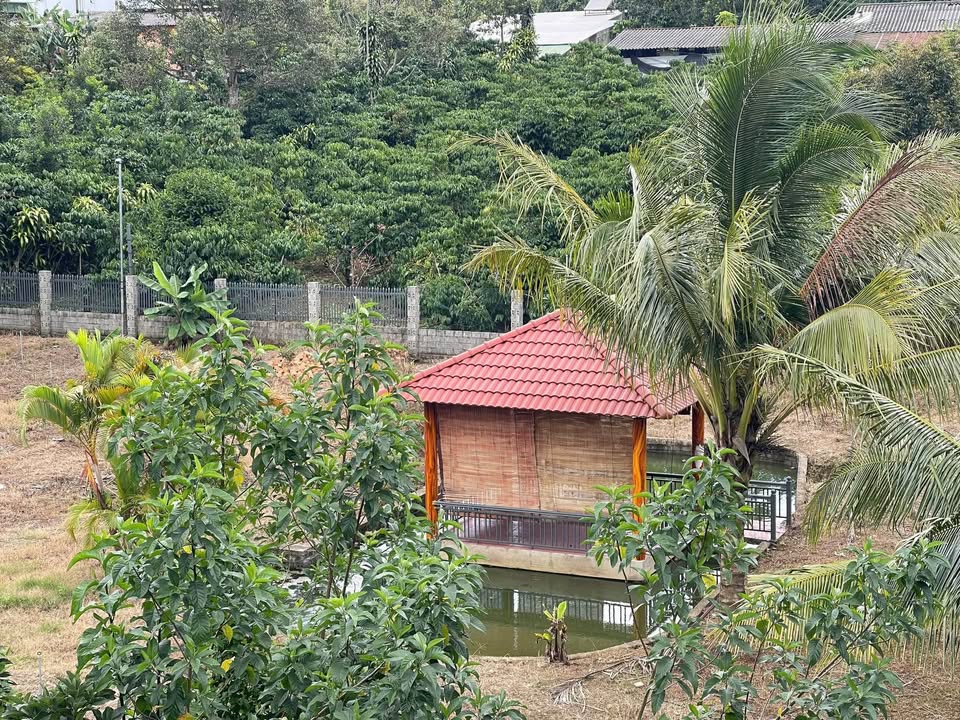 Đất Nghỉ Dưỡng 1202m² TP. Bảo Lộc - Sẵn 400m² Thổ Cư, View Đẹp