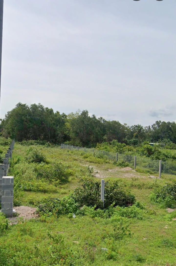 Đất Mặt Tiền Nguyễn Thông Lagi 480m² - Kinh Doanh Đắc Lợi, Hướng Đông Nam