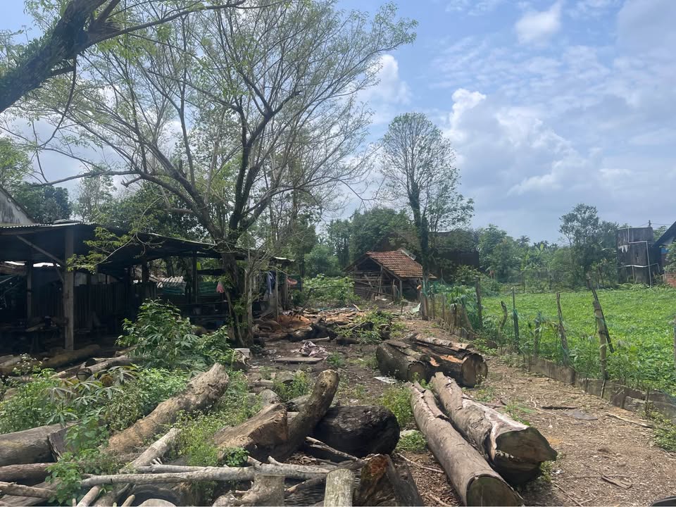 Đất nền mặt tiền Tam Ngọc, Tam Kỳ - 154m² - Giá 1.3 tỷ