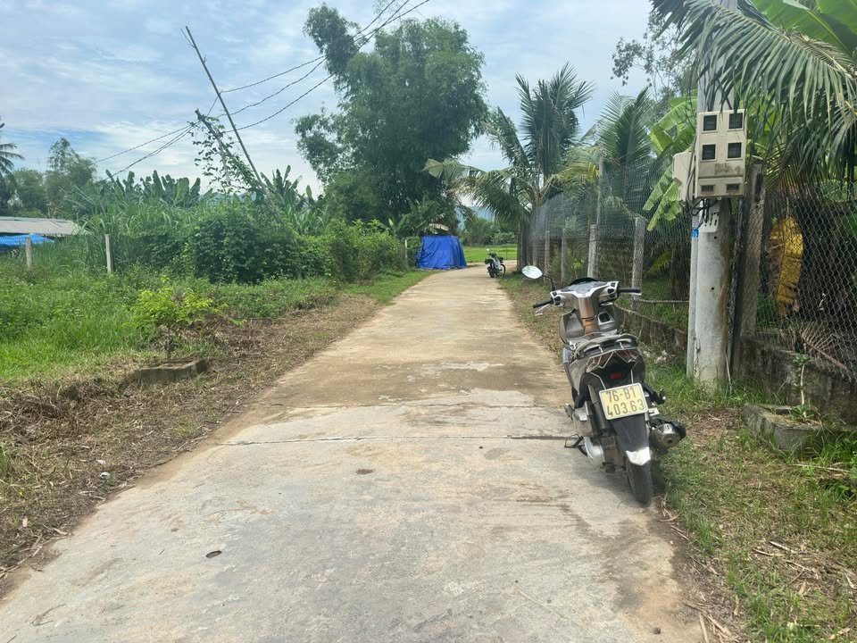 Bán Đất Vườn Tam Quan, Gia Lai 490m² - Mặt Đường Lớn, Giá Tốt