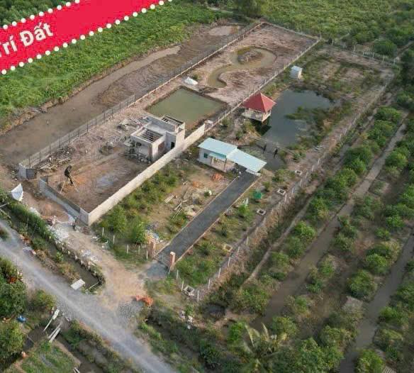 Nhà Vườn 2700m² Sổ Hồng Bến Lức - Giá Giảm Sốc Chỉ 5.2 Tỷ