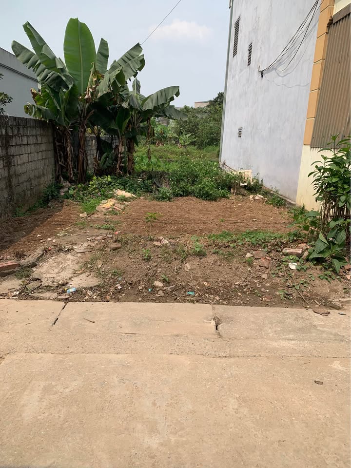 Bán đất Trục Chính Chương Dương, Thường Tín 80.5m² - Sổ đỏ sẵn sàng giao dịch