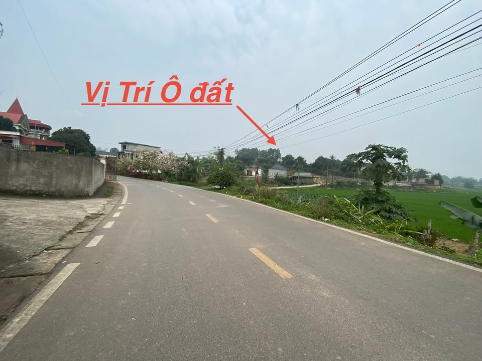 Đất Xuân Lũng Phú Thọ 515m² 3 triệu/m² - Sổ đỏ chính chủ