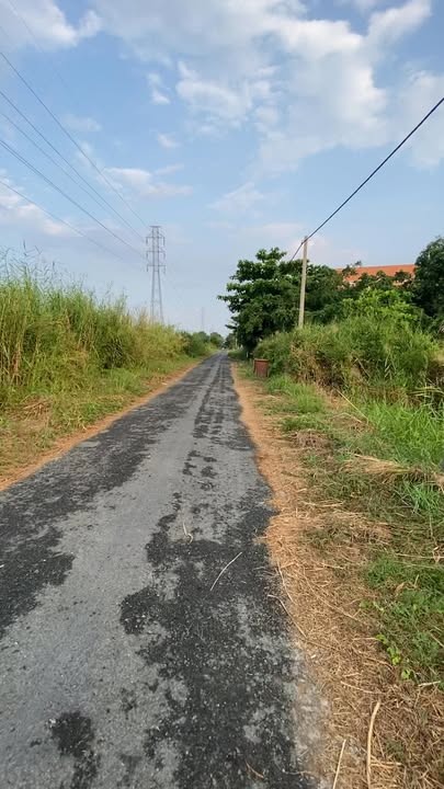 Đất nền Mặt tiền Đường Rừng Sác Cần Giờ 979m² - Sổ đỏ thổ cư, Giá đầu tư 23.45 tỷ