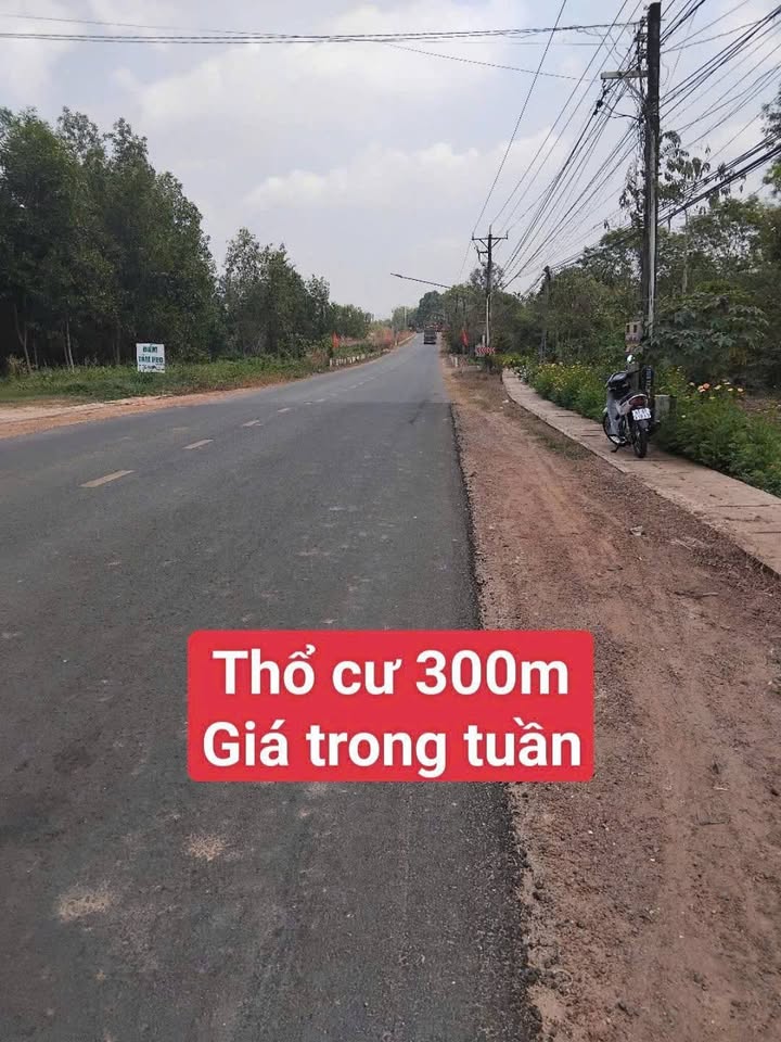 Đất thổ cư Dầu Tiếng, Bình Dương 900m² - Sổ hồng sẵn, giá tốt