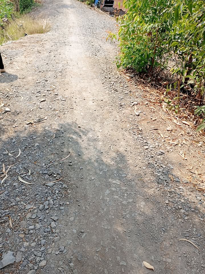 Bán Gấp Đất Vườn 13.500m² Tân Thạnh, Long An - Sẵn Sàng Đầu Tư