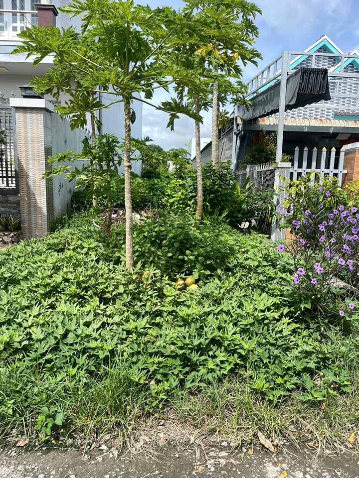 Đất nền KDC Hưng Thịnh, Sóc Trăng - 108m² - Hướng Đông Bắc