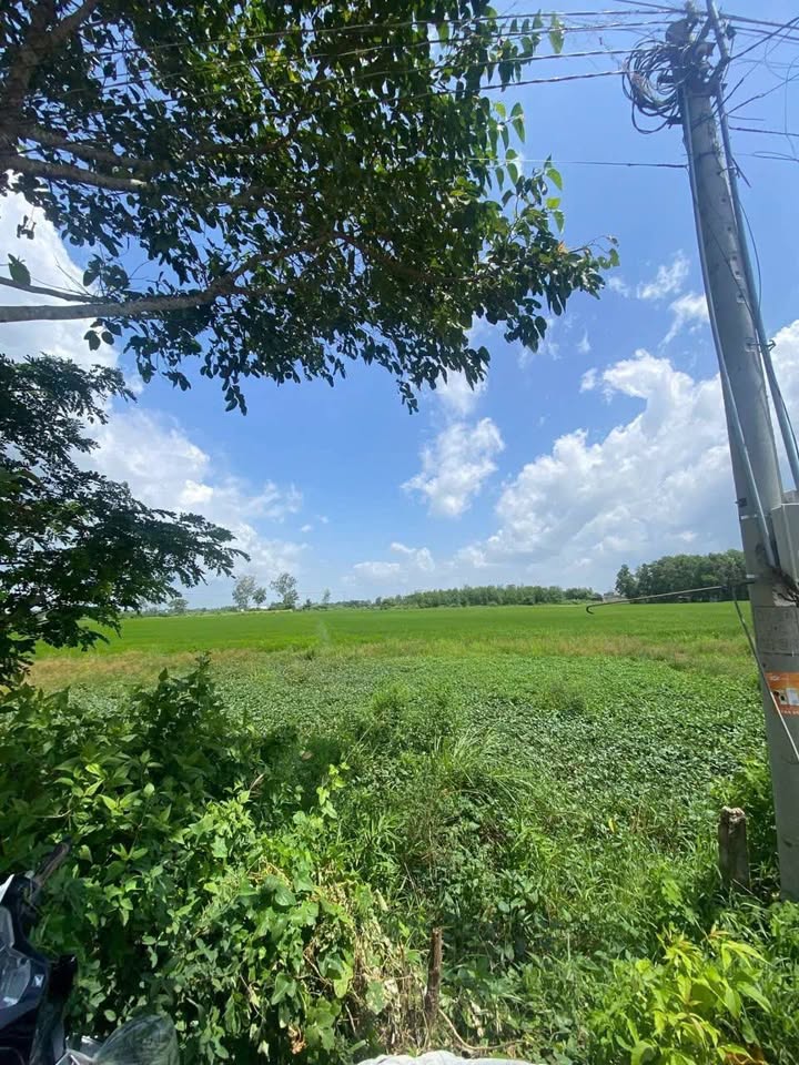 Bán Đất Thổ Cư 95m² Hẻm Oto 233 Nam Kỳ Khởi Nghĩa, Sóc Trăng - Giá 6.x Tỷ