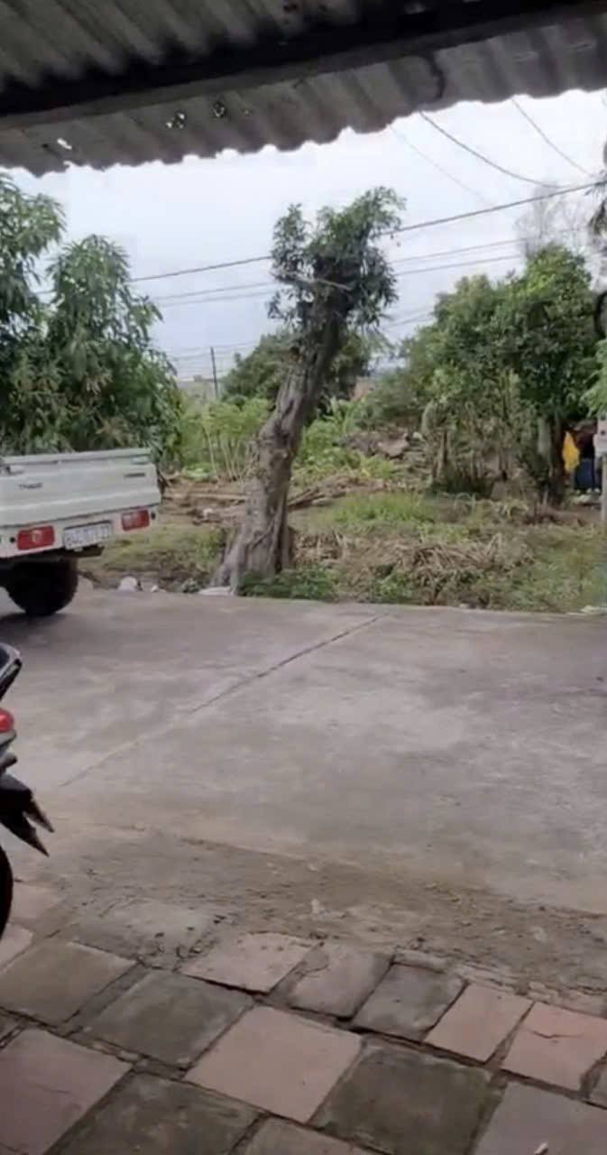 Bán Đất Mặt Tiền Đồng Khởi, Cù Lao Dung, Sóc Trăng - 500m² - 1.3 Tỷ/Nền