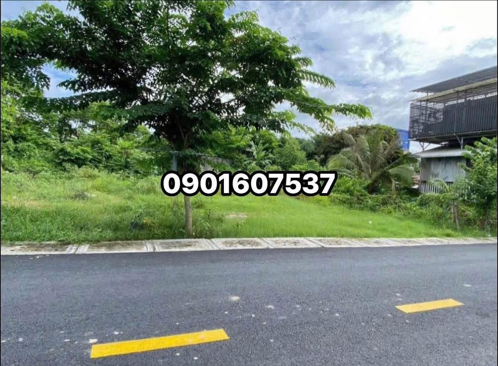 Đất Nền Mặt Tiền Chơn Thành 200m² - Sổ Riêng Giá 3.2 Tỷ