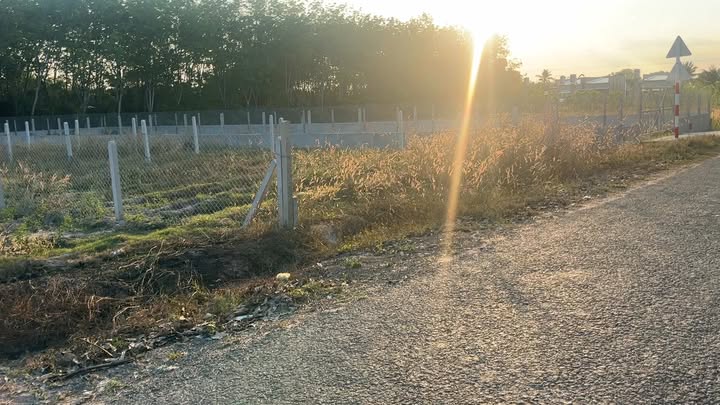 Đất nền mặt tiền nhựa 260m² - Ấp Long Phú, Bến Cầu, Tây Ninh - Chỉ 345 triệu