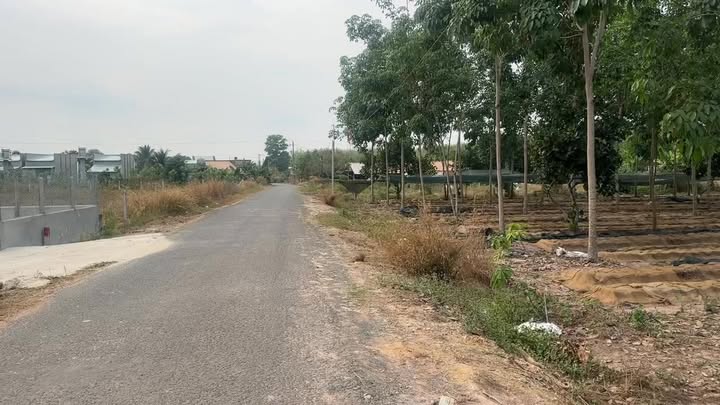 Đất Nền Mặt Tiền Đường Nhựa 334.1m² Tại Bến Cầu, Tây Ninh - Chỉ 380 Triệu