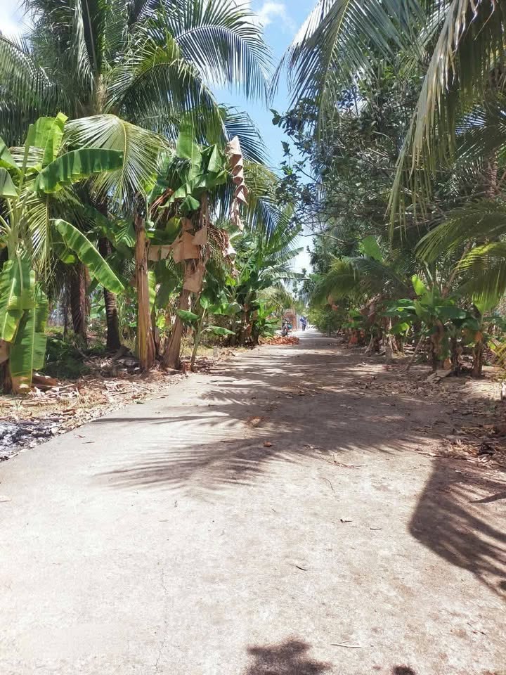 Bán Đất Mặt Tiền Ô Tô 7 Chỗ 309m² Phường Phú Tân, Bến Tre - Giá 1.1 Tỷ