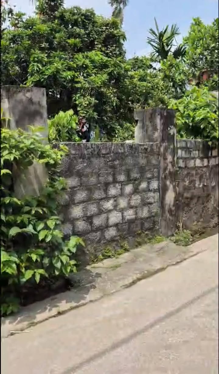 Đất Nền Thôn Tri Xuyên, Hà Nam 99m² - Sổ Đỏ Full Thổ Cư, Đường Ô Tô 7 Chỗ