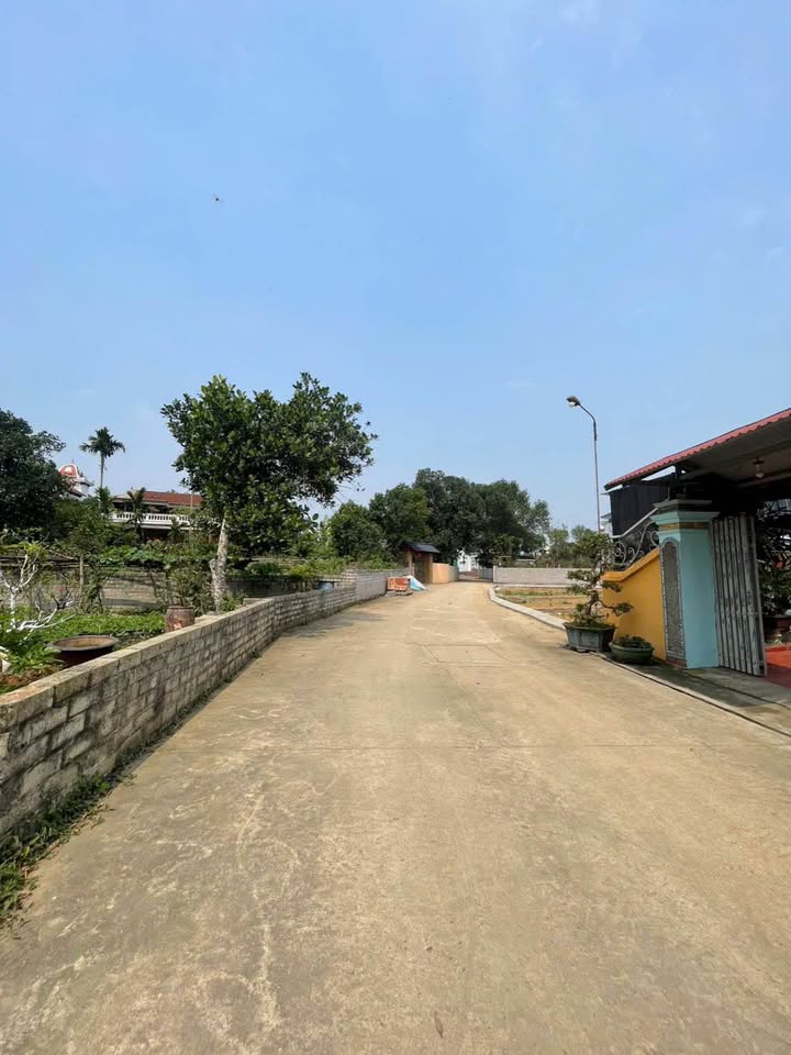 Bán Đất Thạch Thất 202m² - Sổ Đỏ Sẵn Sàng, Đường Ô Tô