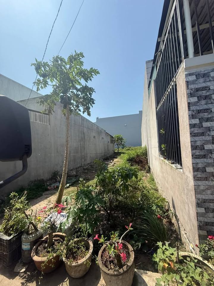 Đất Thổ Cư Tiến Lợi - 97m² Hai Mặt Tiền, Giá 950 Triệu