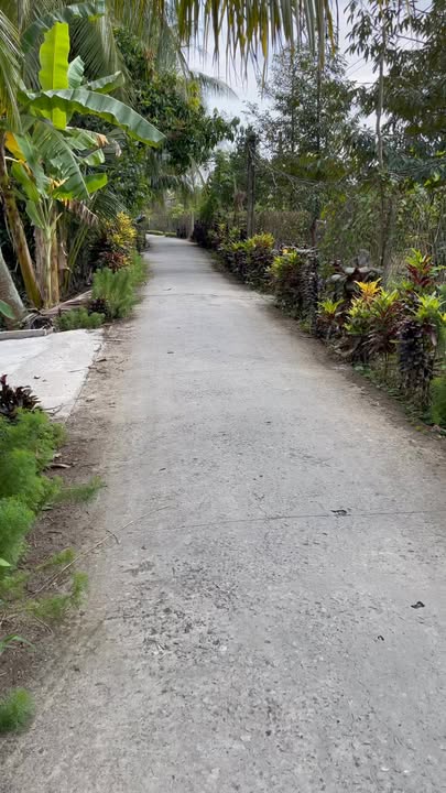 Đất Nền 125m² Thổ Cư Ngang 5m - Gần Trung Tâm Cai Lậy, Đồng Tháp - Chỉ 420 Triệu