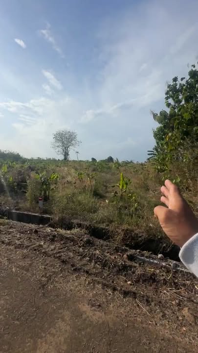 Đất Vàng Châu Đức 2000m² - Giá 1.98 Tỷ/Sổ Hồng Sẵn Sàng